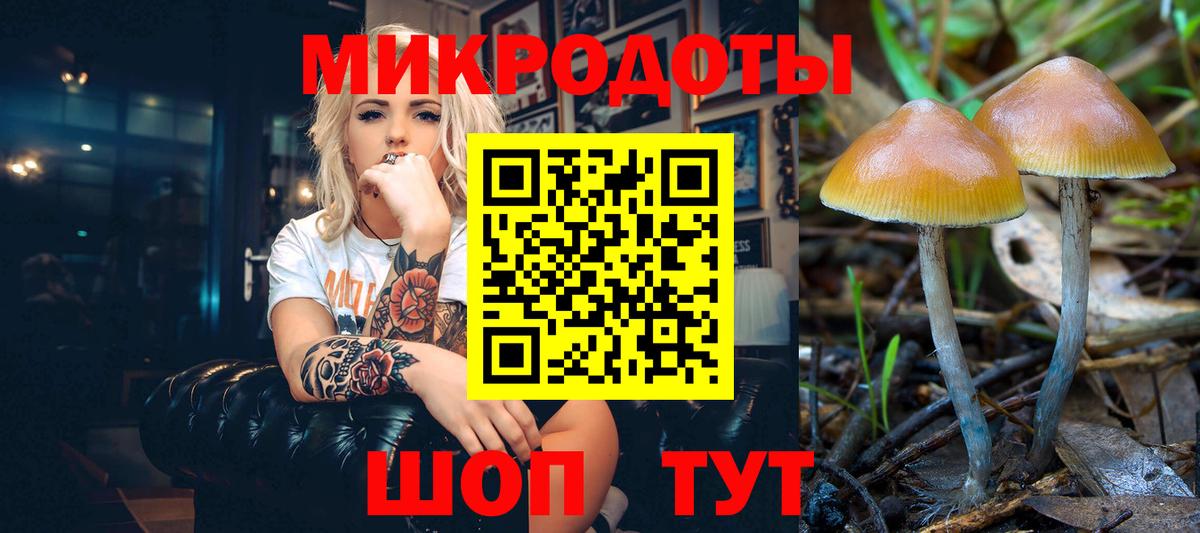 Галлюциногенные грибы ЛСД Владивосток