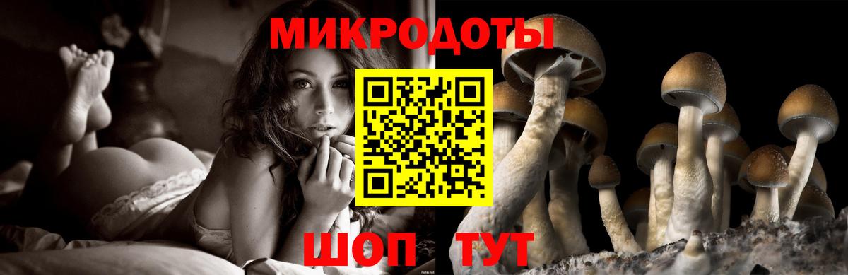 Владивосток  Псилоцибиновые грибы мицелий  Псилоцибиновые грибы Psilocybe  Вход с VPN 